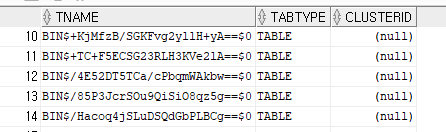 Oracle_Table조회_BIN